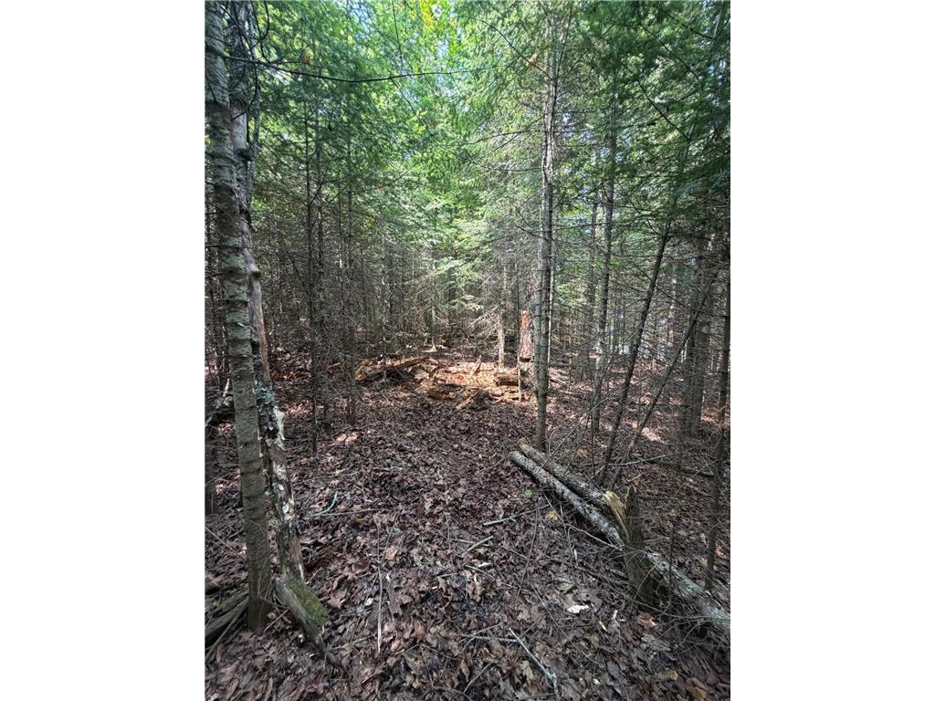 Lot 2 S Gull Lake Rd SW Port Hope Twp MN 56647 - Gull Lake 7101554 image4