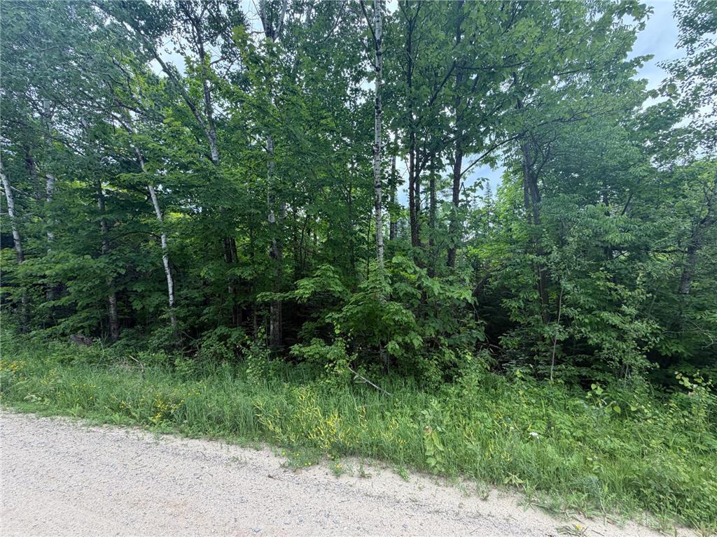 Lot 2 S Gull Lake Rd SW Port Hope Twp MN 56647 - Gull Lake 7101554 image7