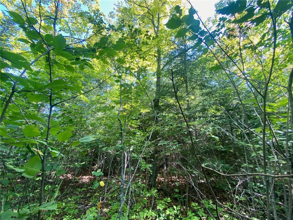 Lot 2 S Gull Lake Rd SW Port Hope Twp MN 56647 - Gull Lake 7101554 image8