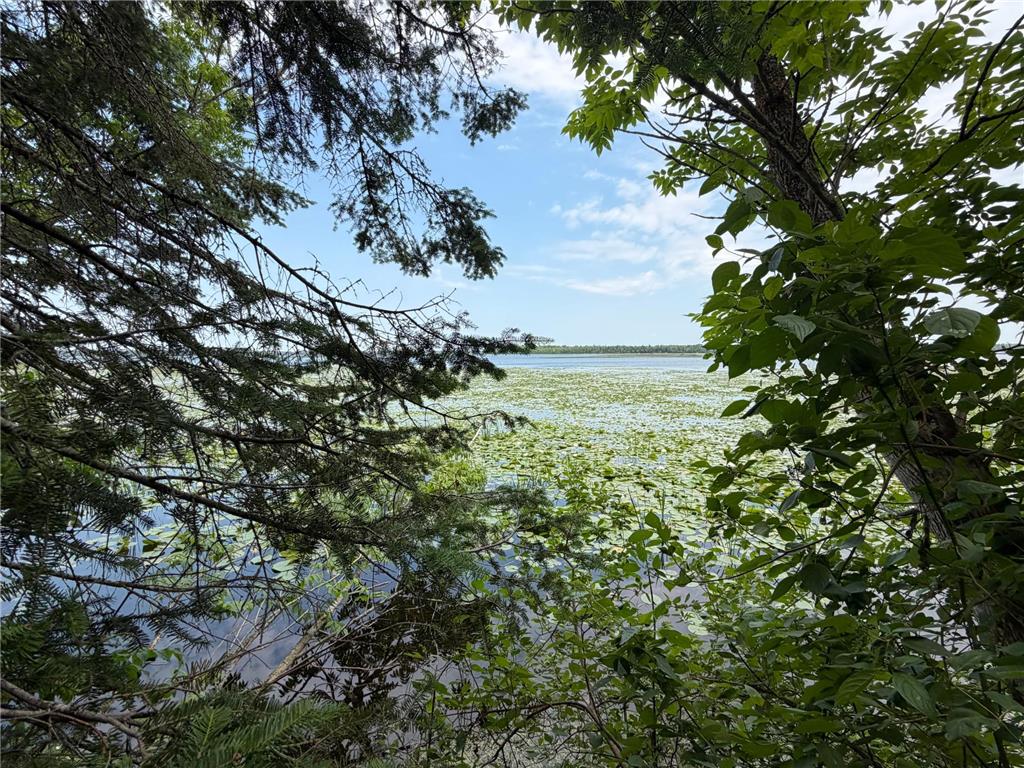Lot 2 S Gull Lake Rd SW Port Hope Twp MN 56647 - Gull Lake 7101554 image9