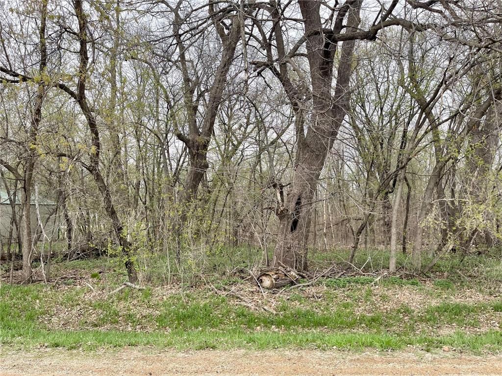 Lot 2 S Ketelle Drive NE Osakis MN 56360 6369046 image1