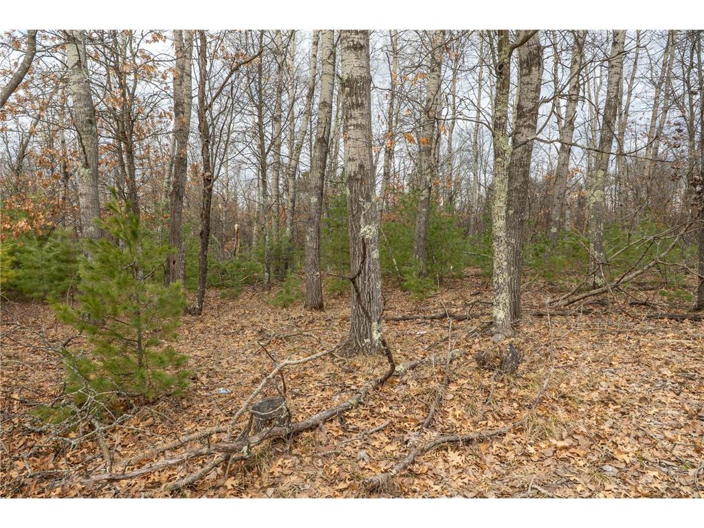 Lot 2 S Madison Avenue Wascott WI 54838 7047552 image5