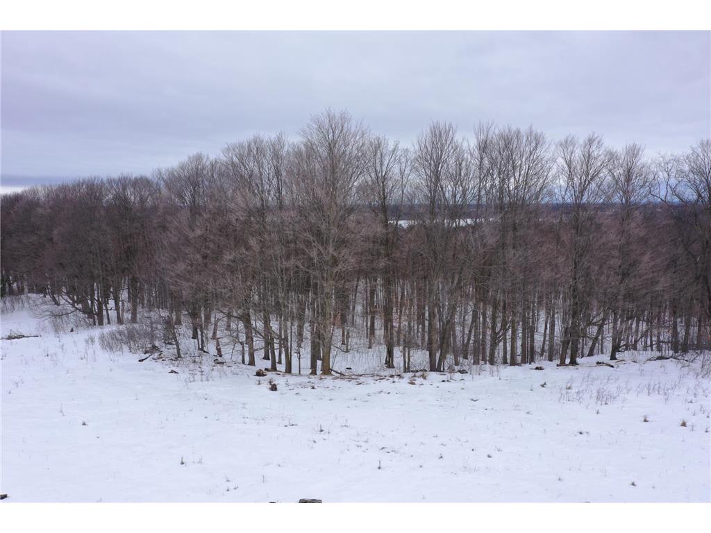 Lot 2 Spirit Lake Access Road Frederic WI 54837 7008793 image5