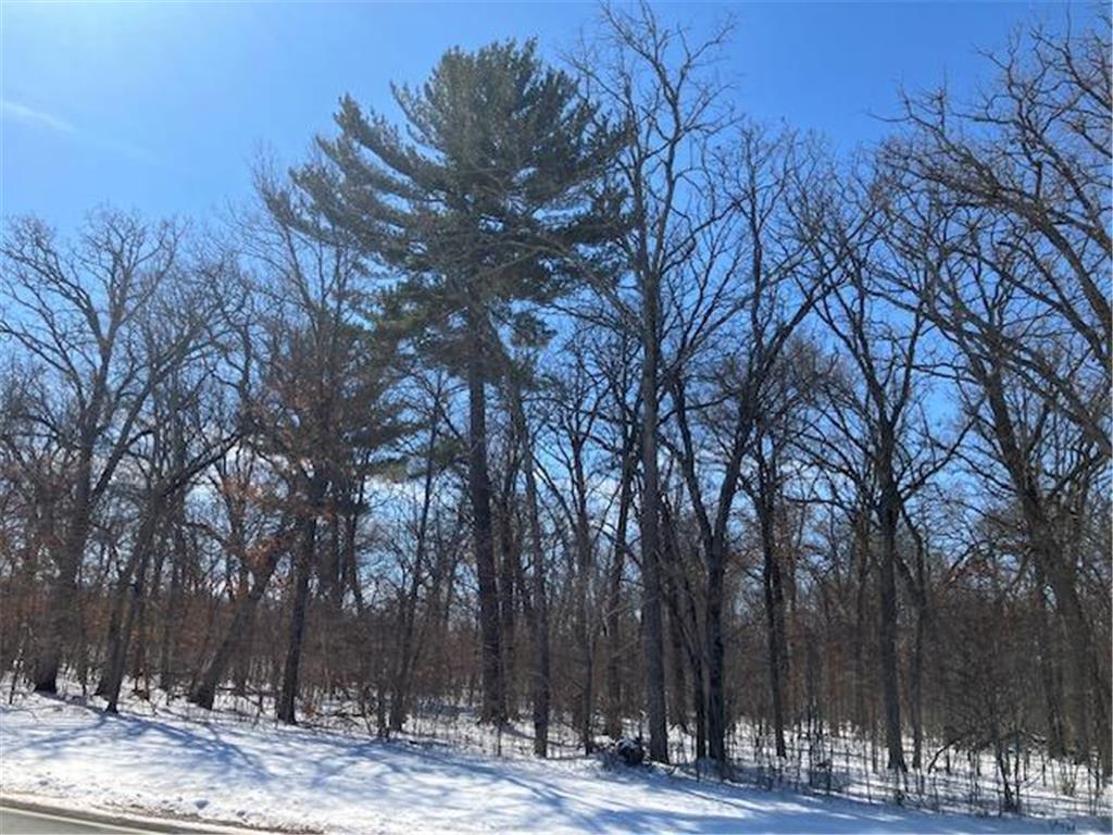 Lot 2 Sunrise Road Sunrise Twp MN 55032 7036510 image3