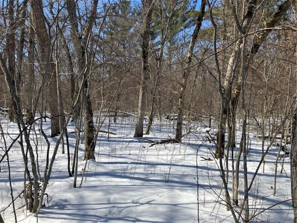 Lot 2 Sunrise Road Sunrise Twp MN 55032 7036510 image7