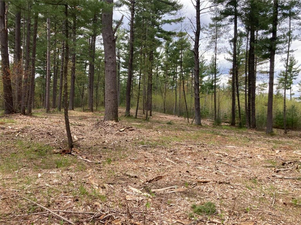 Lot 2 Surely Drive Siren Twp WI 54872 6673507 image14