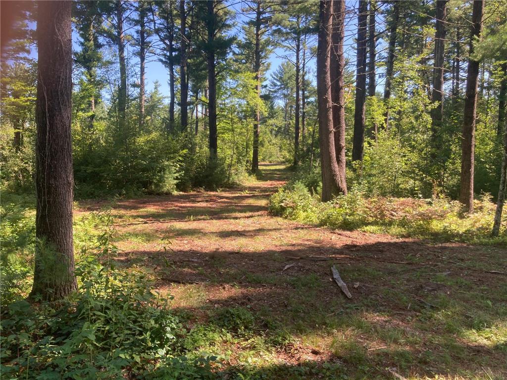 Lot 2 Surely Drive Siren Twp WI 54872 6673507 image17