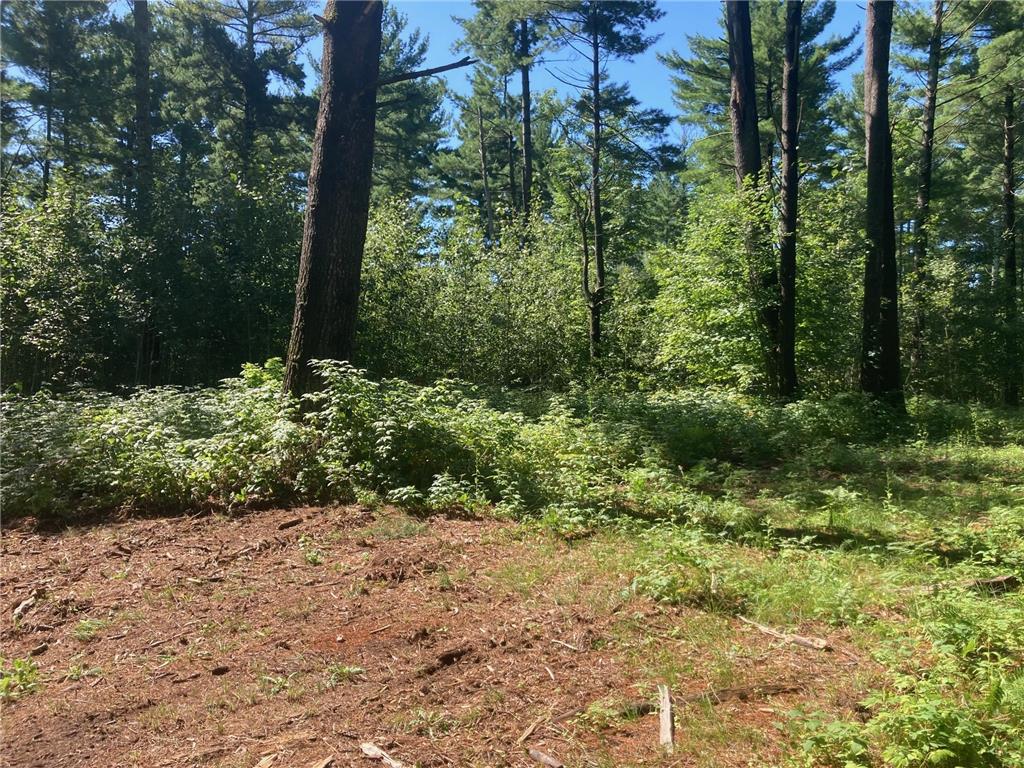 Lot 2 Surely Drive Siren Twp WI 54872 6673507 image20