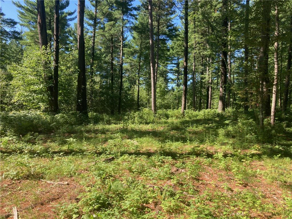 Lot 2 Surely Drive Siren Twp WI 54872 6673507 image21