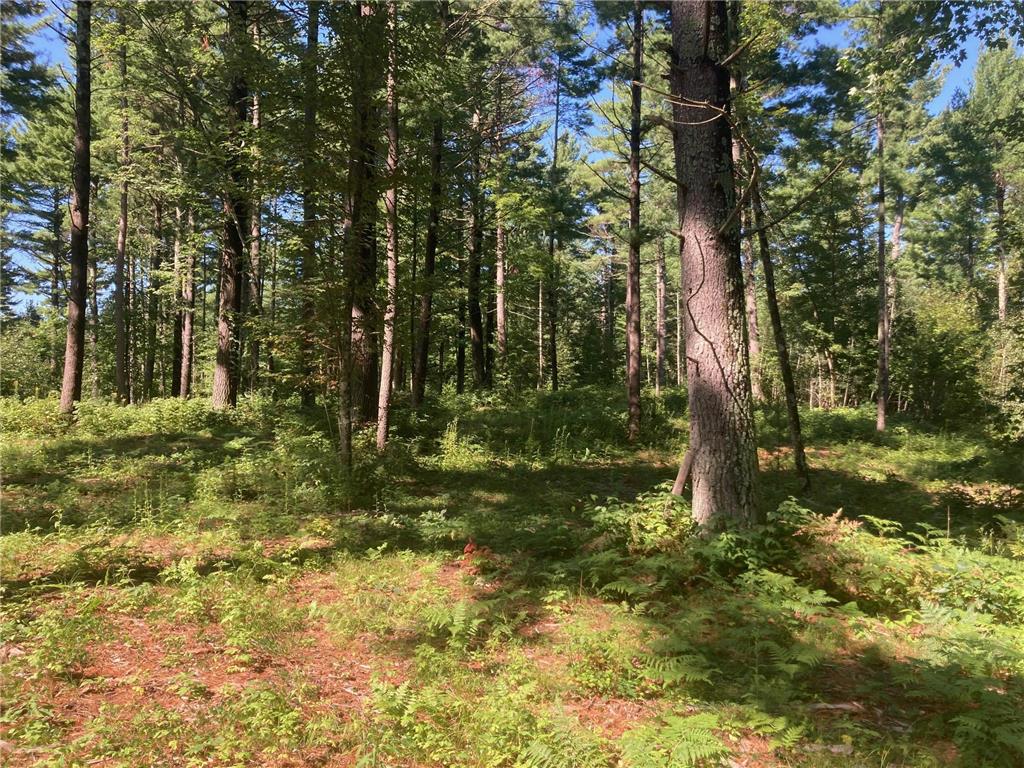 Lot 2 Surely Drive Siren Twp WI 54872 6673507 image22