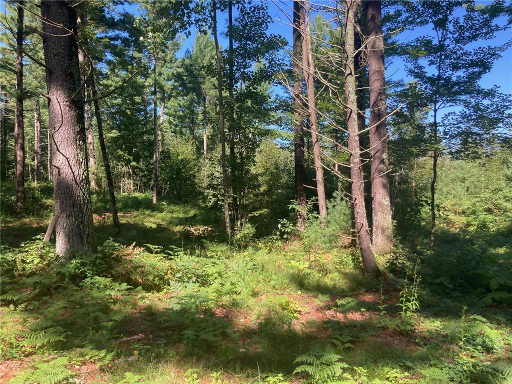 Lot 2 Surely Drive Siren Twp WI 54872 6673507 image23