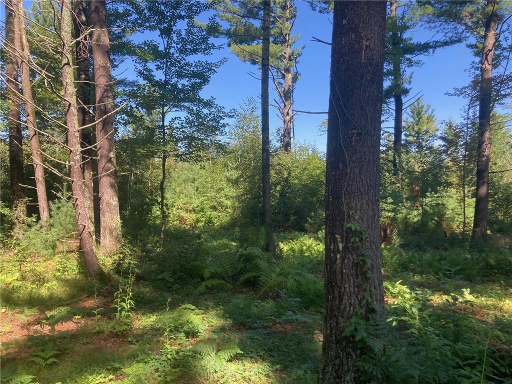 Lot 2 Surely Drive Siren Twp WI 54872 6673507 image24