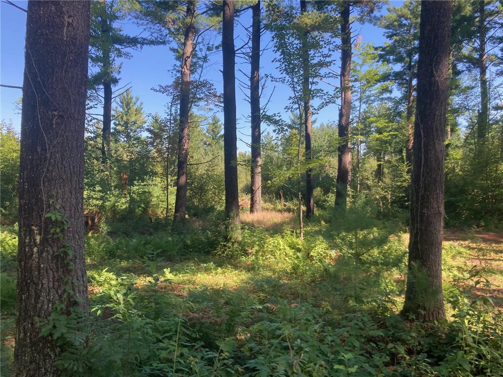 Lot 2 Surely Drive Siren Twp WI 54872 6673507 image25