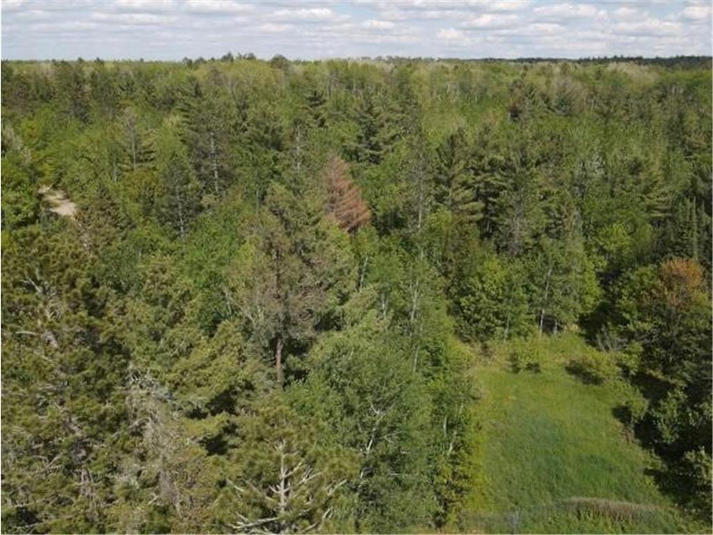 Lot 2 - TBD Libby Road Emily MN 56447 6215153 image1