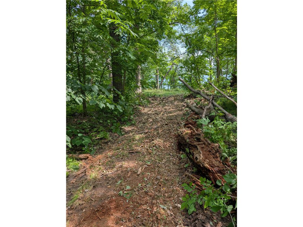 Lot 2 Turtle Bay Trail Crosby MN 56441 - Adney 7099641 image6