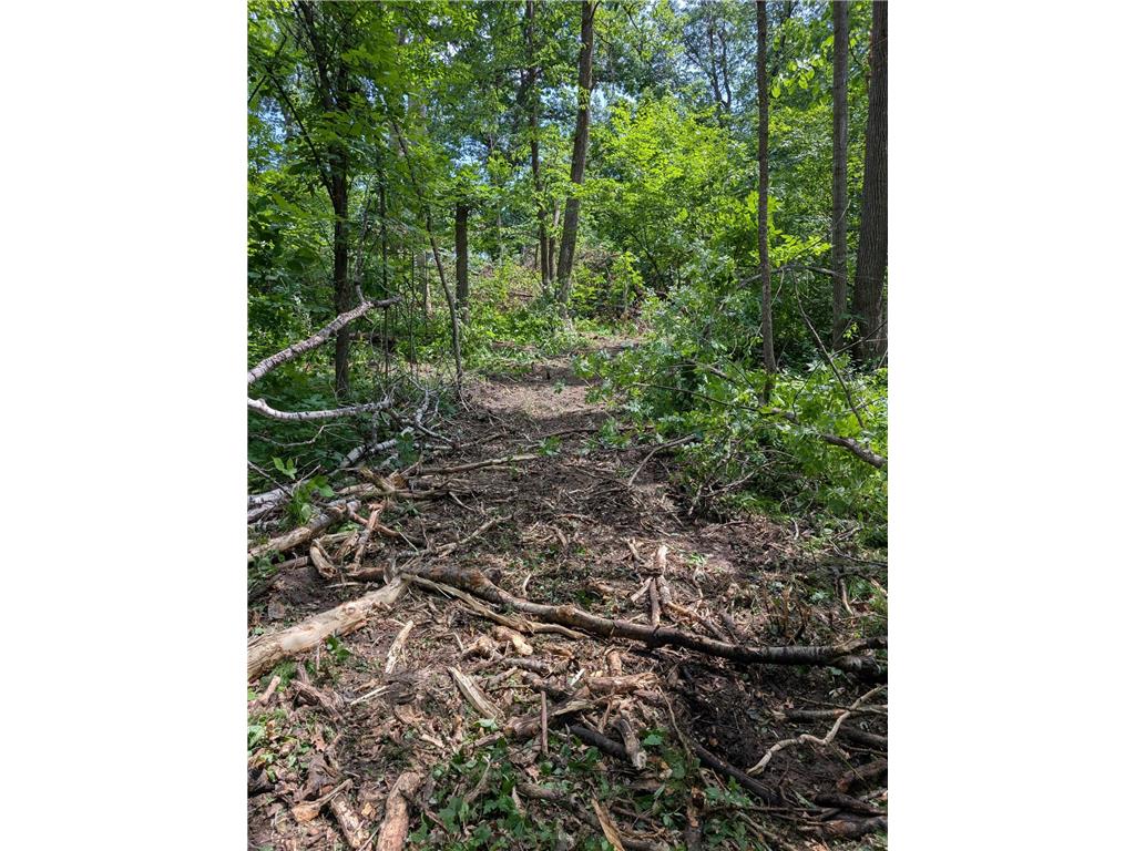 Lot 2 Turtle Bay Trail Crosby MN 56441 - Adney 7099641 image8