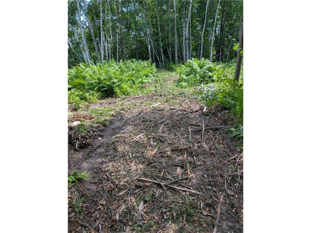 Lot 2 Turtle Bay Trail Crosby MN 56441 - Adney 7099641 image9