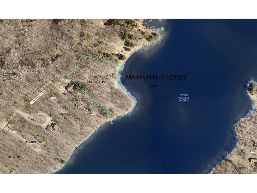 Lot 2 Turtle Lake Drive NW Walker MN 56484 - Turtle Lake 6747048 image3