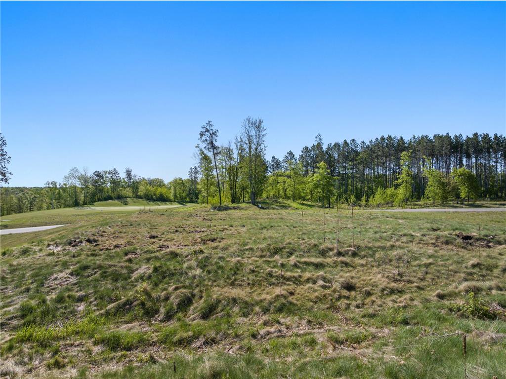 Lot 21 .85 Acres 16279 Tom Lehman Drive Brainerd MN 56401 6711457 image5