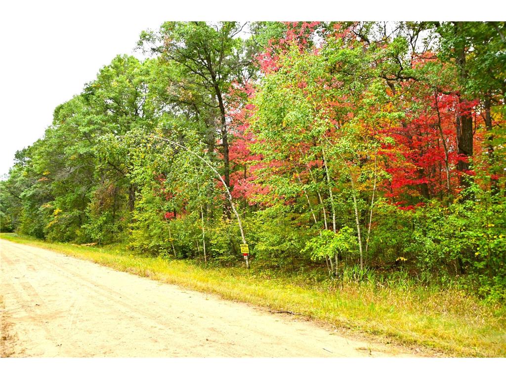 Lot 21 Block 2 Olaf Trail Moran Twp MN 56438 6502143 image1