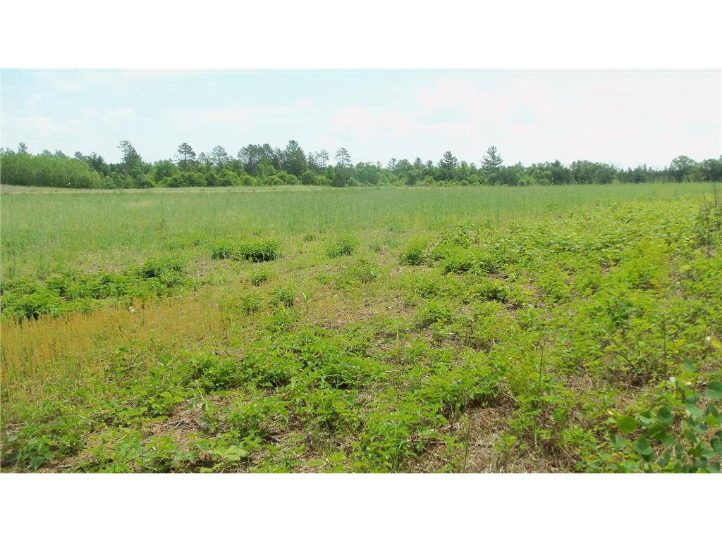 Lot 21 Maple Ln Meenon Twp WI 54872 6765887 image4