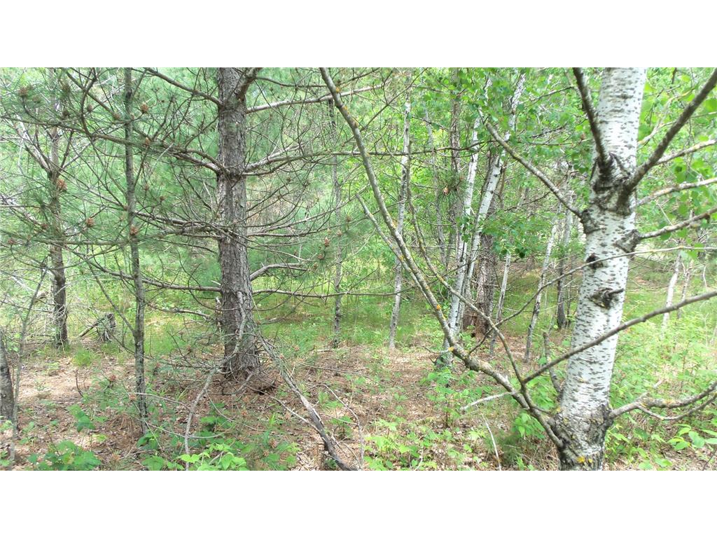 Lot 21 Maple Ln Meenon Twp WI 54872 6765887 image6