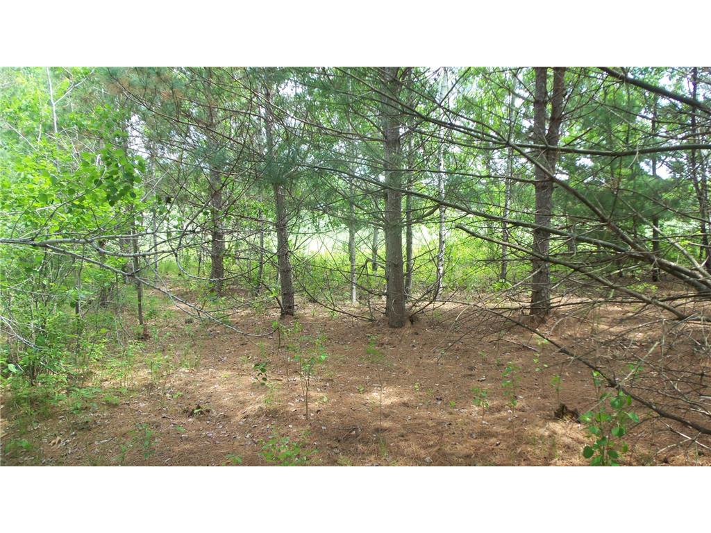 Lot 21 Maple Ln Meenon Twp WI 54872 6765887 image8