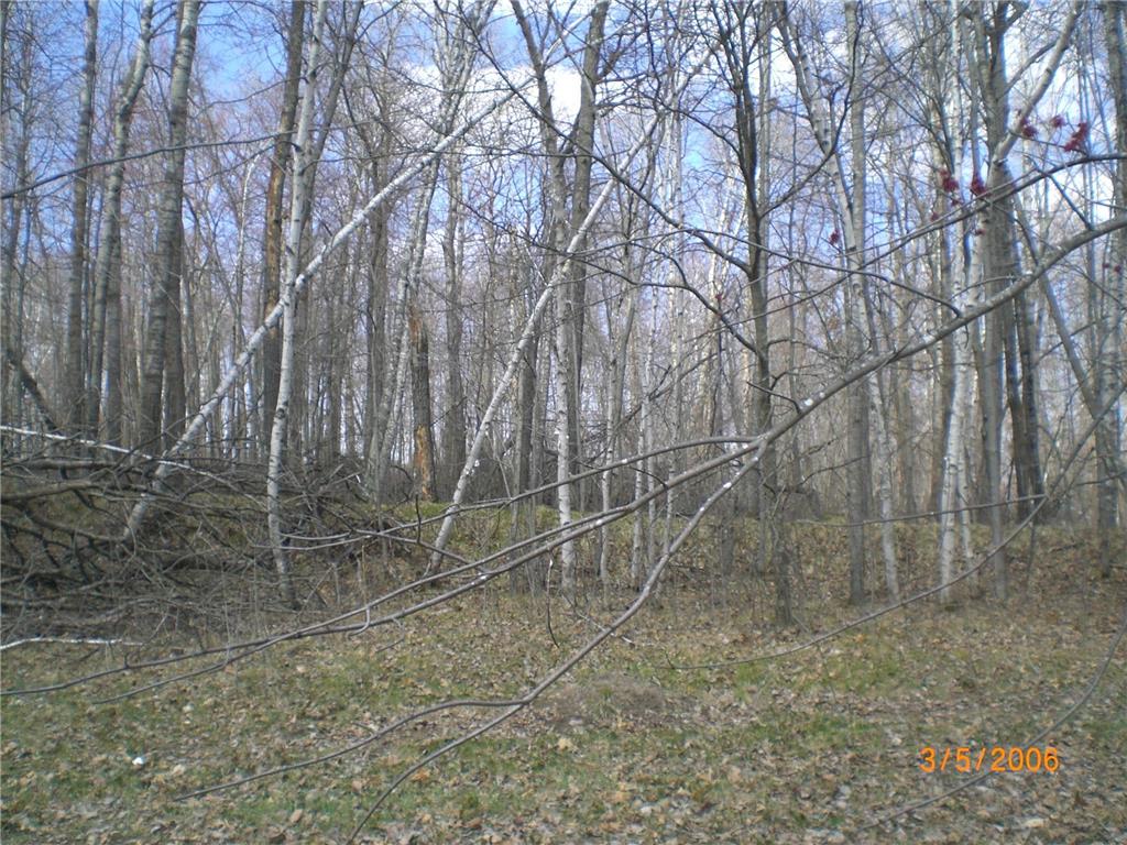 Lot 211 Catskill Circle Breezy Point MN 56472 6731095 image1
