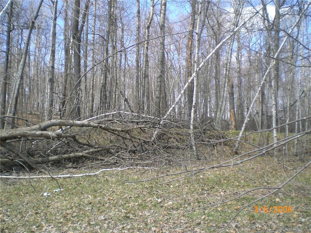 Lot 211 Catskill Circle Breezy Point MN 56472 6731095 image2