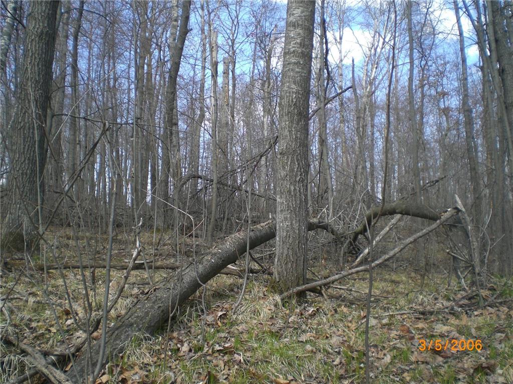 Lot 211 Catskill Circle Breezy Point MN 56472 6731095 image3