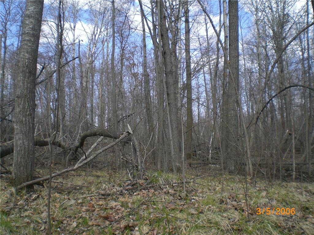 Lot 211 Catskill Circle Breezy Point MN 56472 6731095 image4