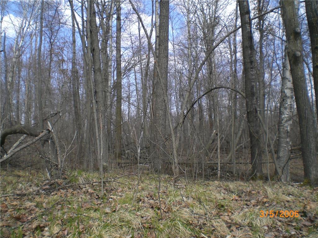 Lot 211 Catskill Circle Breezy Point MN 56472 6731095 image5