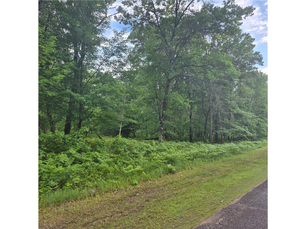 Lot 216 Deerpath Road Jackson Twp WI 54830 7088890 image4