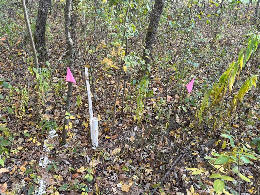 Lot 22 Short Ridge Estates Washington Twp WI 54701 6642885 image10