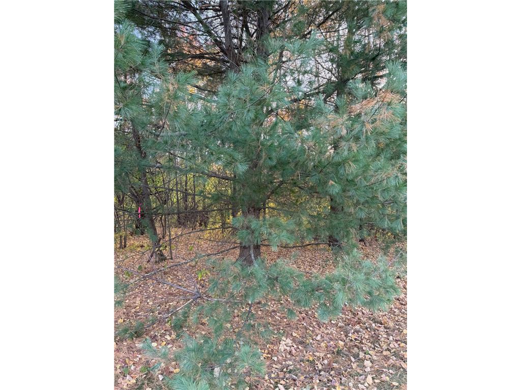 Lot 22 Short Ridge Estates Washington Twp WI 54701 6642885 image4