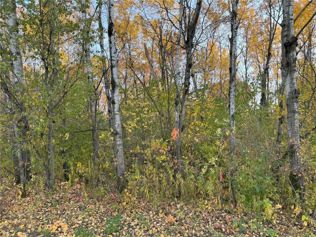 Lot 22 Short Ridge Estates Washington Twp WI 54701 6642885 image7