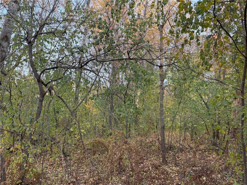 Lot 22 Short Ridge Estates Washington Twp WI 54701 6642885 image8