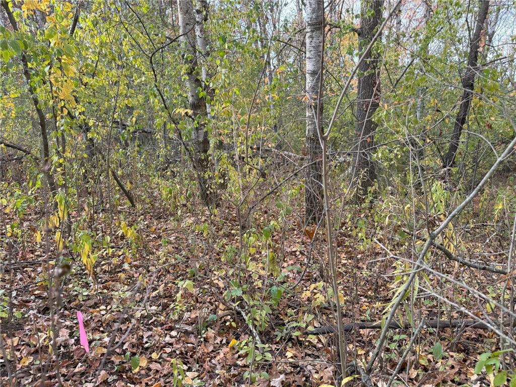 Lot 22 Short Ridge Estates Washington Twp WI 54701 6642885 image9