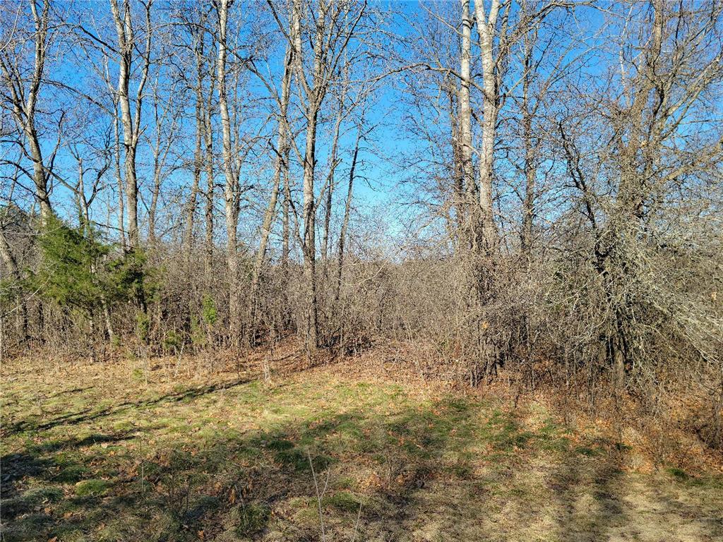 Lot 24 475th Street Wheeler WI 54772 6337791 image1