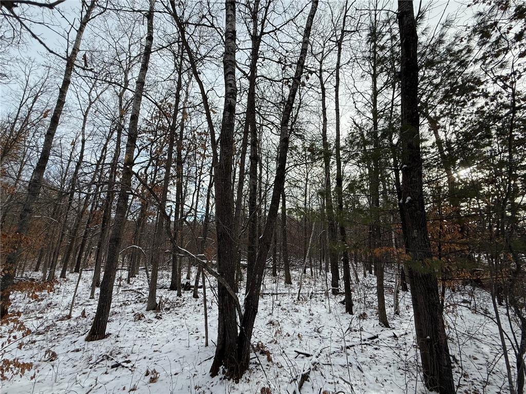 Lot 25 County Rd 11 Breezy Point MN 56472 6690438 image3