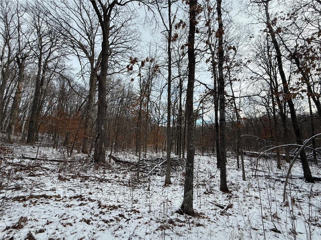 Lot 25 County Rd 11 Breezy Point MN 56472 6690438 image4