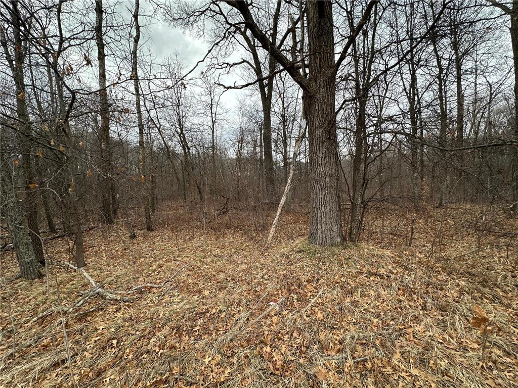 Lot 25 County Rd 11 Breezy Point MN 56472 7055526 image1