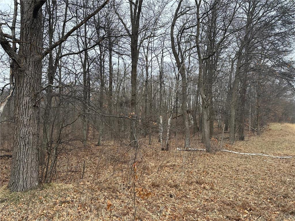 Lot 25 County Rd 11 Breezy Point MN 56472 7055526 image10