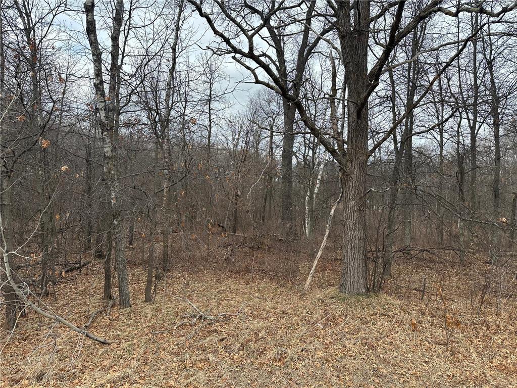 Lot 25 County Rd 11 Breezy Point MN 56472 7055526 image2