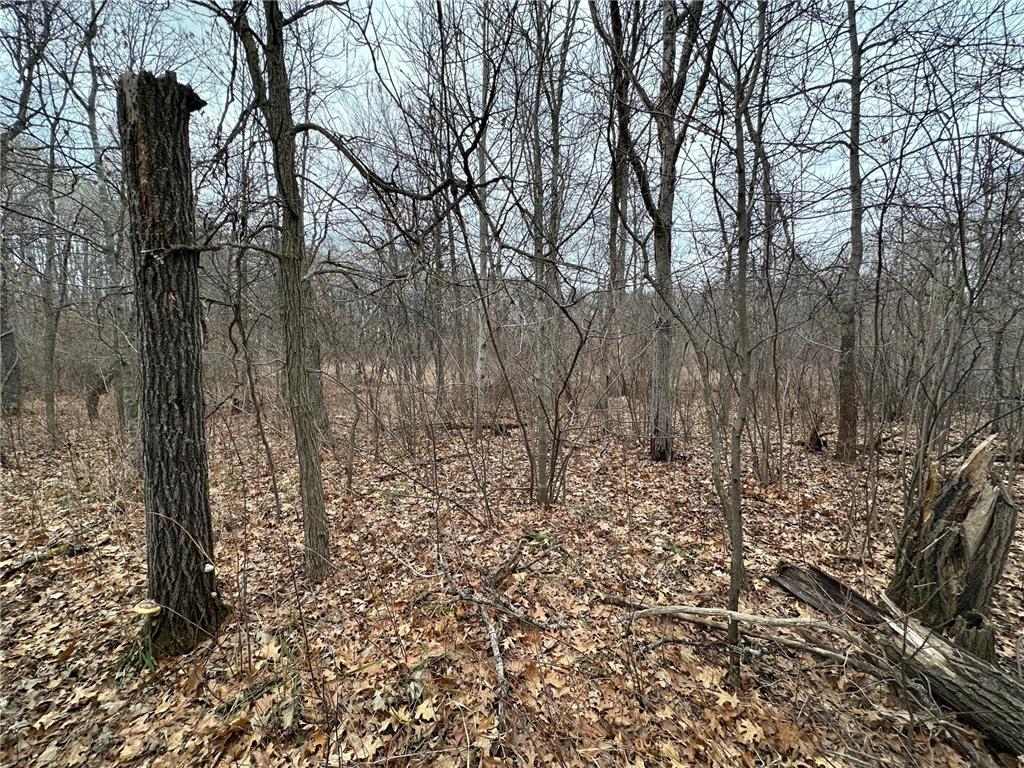 Lot 25 County Rd 11 Breezy Point MN 56472 7055526 image3