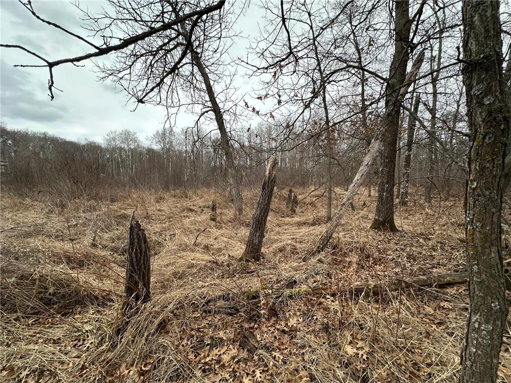 Lot 25 County Rd 11 Breezy Point MN 56472 7055526 image4