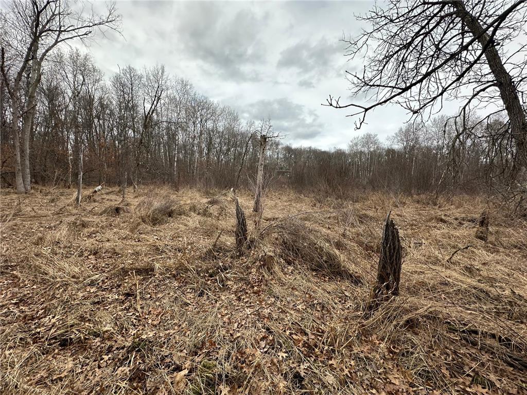 Lot 25 County Rd 11 Breezy Point MN 56472 7055526 image5