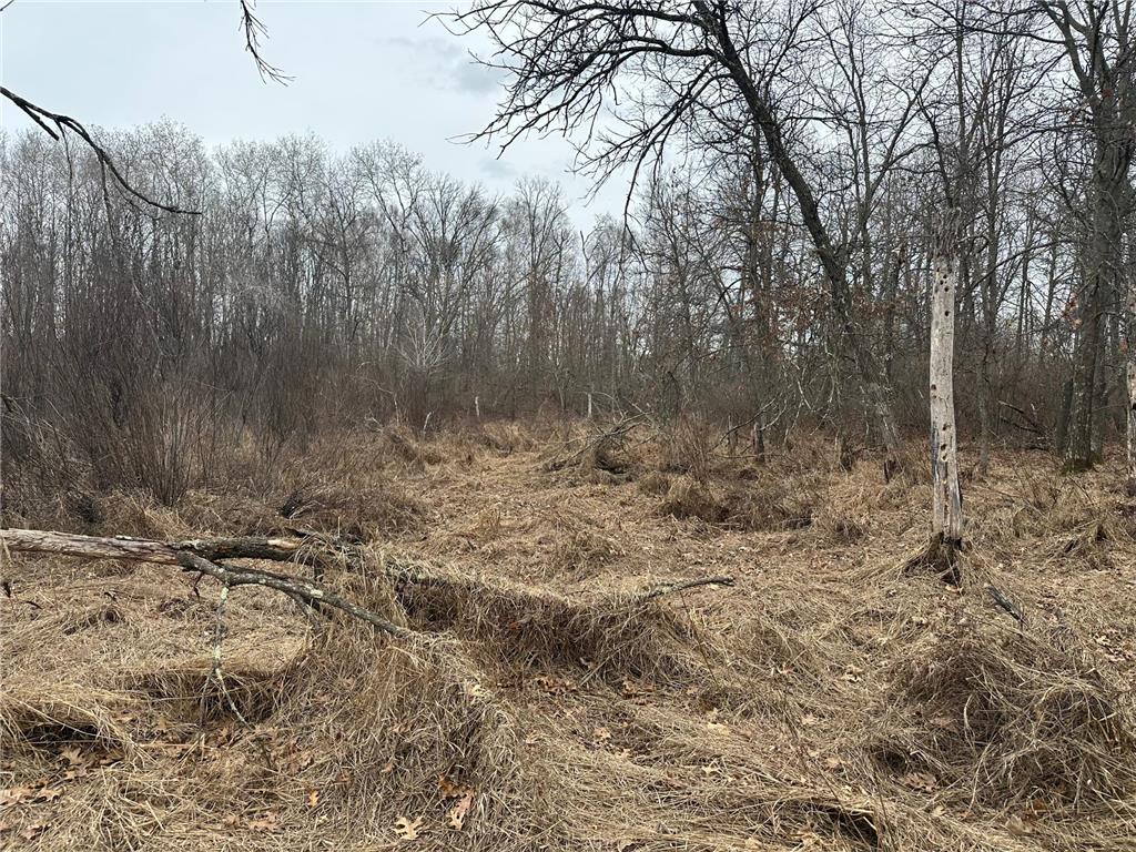 Lot 25 County Rd 11 Breezy Point MN 56472 7055526 image6