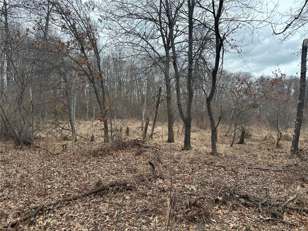 Lot 25 County Rd 11 Breezy Point MN 56472 7055526 image8