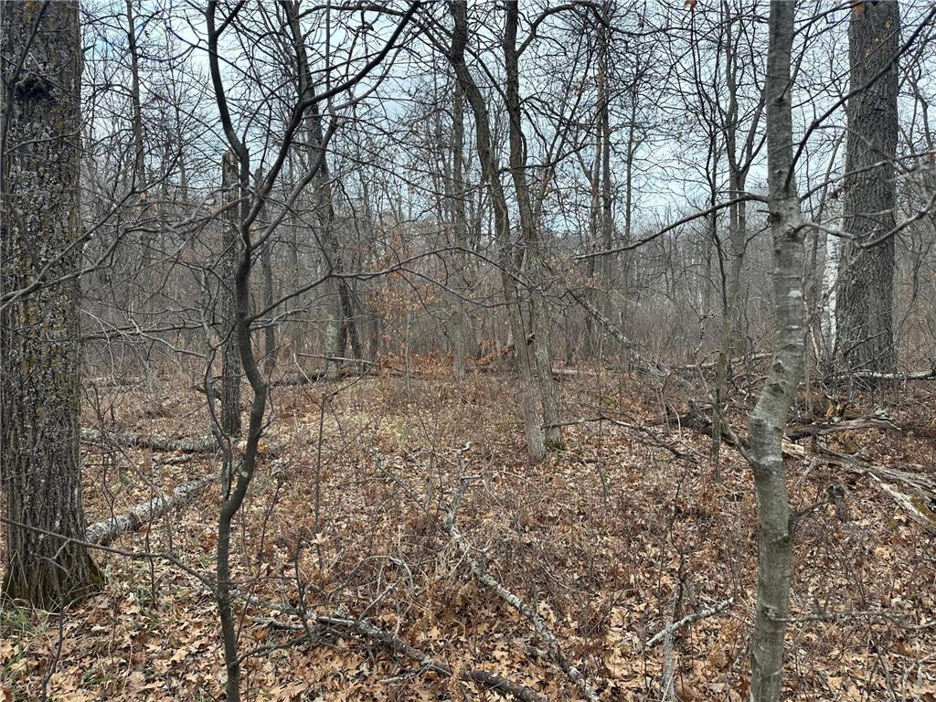 Lot 25 County Rd 11 Breezy Point MN 56472 7055526 image9